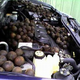Illustration for article titled Woman Finds Thousands Of Walnuts Stashed In Engine Bay By Chipmunk